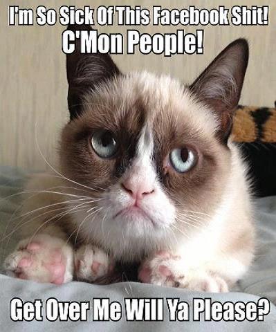 Grumpy Cat